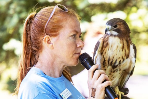 Raptor-Show